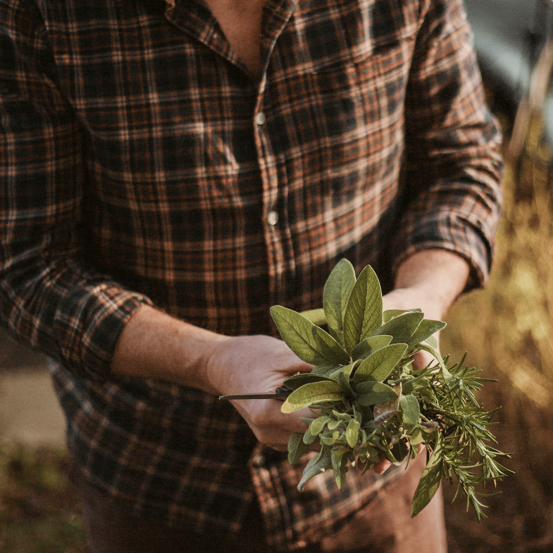 Eine Gruppe Wanderer auf einem Feldweg